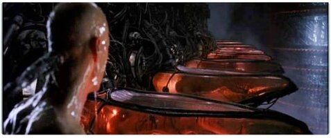 movie_matrix_reddit_editorial.jpg